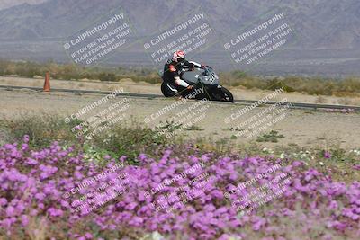 media/Feb-04-2023-SoCal Trackdays (Sat) [[8a776bf2c3]]/Turn 15 Inside Blooming (1050am)/